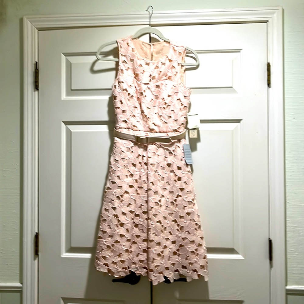 New Eliza J dress. Pink with nude inlay.